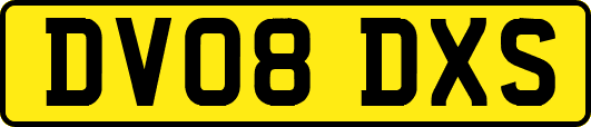 DV08DXS