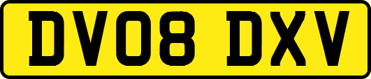 DV08DXV