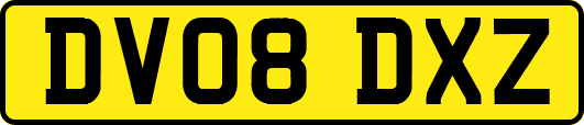 DV08DXZ