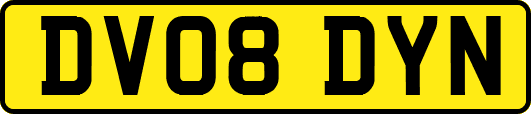 DV08DYN
