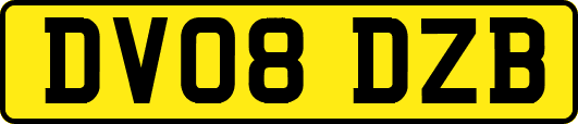 DV08DZB
