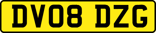 DV08DZG