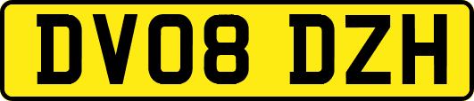 DV08DZH