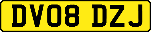 DV08DZJ