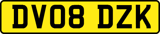 DV08DZK