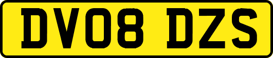 DV08DZS
