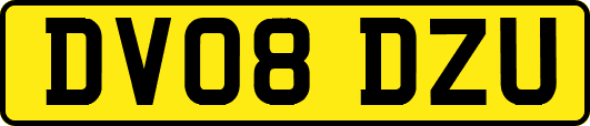 DV08DZU