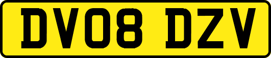 DV08DZV