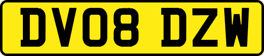 DV08DZW