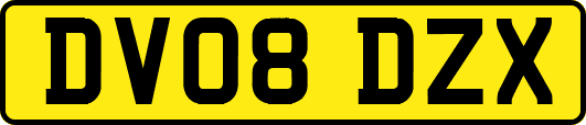 DV08DZX
