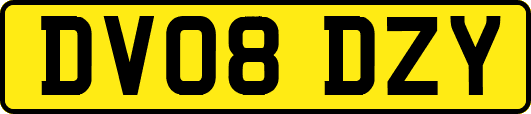 DV08DZY