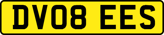 DV08EES