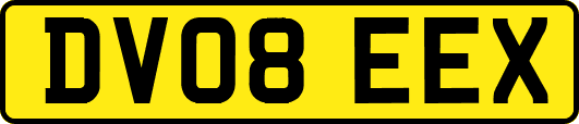 DV08EEX