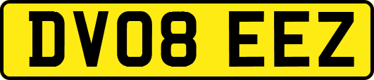 DV08EEZ