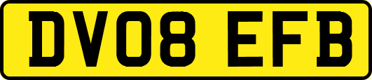 DV08EFB