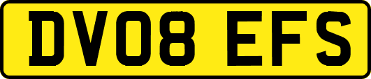 DV08EFS
