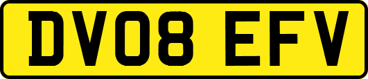DV08EFV