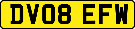 DV08EFW