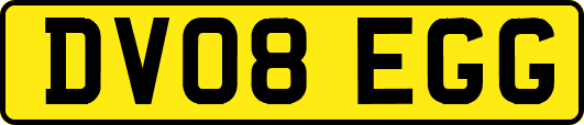 DV08EGG
