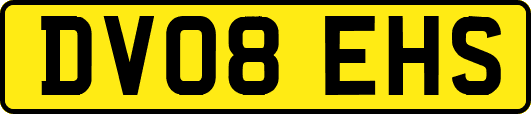DV08EHS