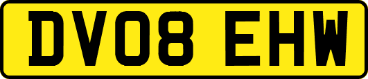 DV08EHW