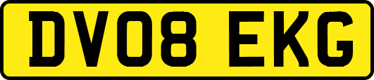 DV08EKG
