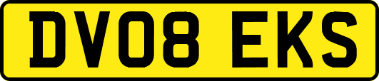 DV08EKS