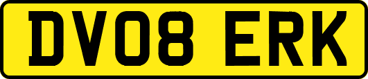 DV08ERK