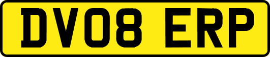 DV08ERP