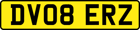 DV08ERZ