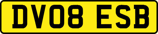 DV08ESB