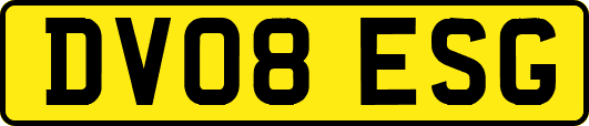 DV08ESG