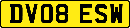 DV08ESW