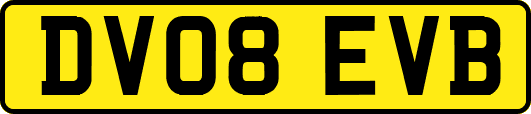 DV08EVB