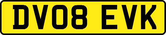 DV08EVK