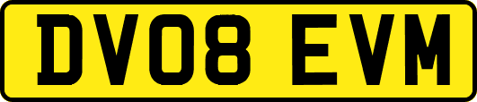 DV08EVM