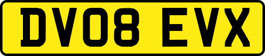 DV08EVX