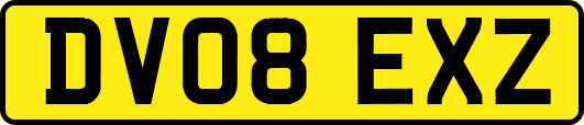 DV08EXZ