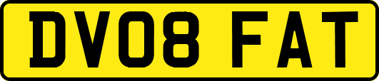 DV08FAT