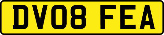 DV08FEA