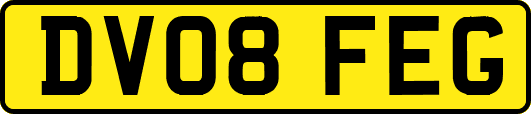 DV08FEG