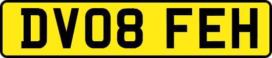 DV08FEH