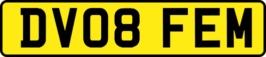 DV08FEM