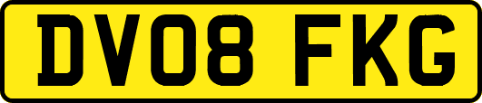 DV08FKG
