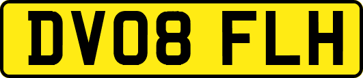 DV08FLH