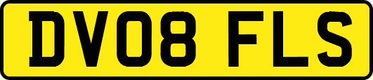 DV08FLS