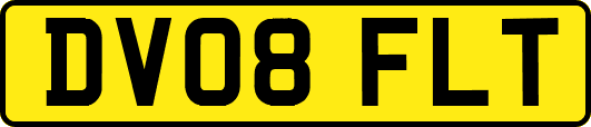 DV08FLT