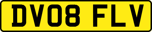 DV08FLV