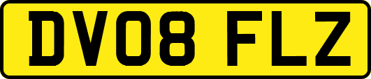DV08FLZ