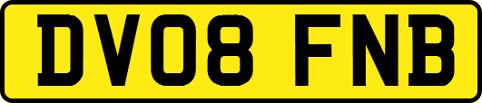 DV08FNB